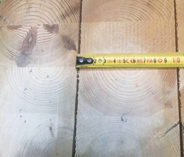 Клееный брус 100х300